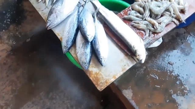 8. ГОА! Направили на УЗИ. Рыбный рынок. Кингфишера нет!