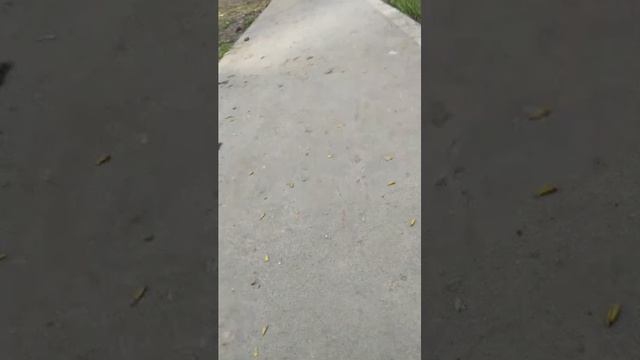 Покатушки на багги | 4-апр-2026 2