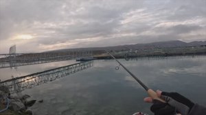 Ловим и готовим лосося и форель / Зимний кемпинг с автофургоном в Новой Зеландии [Часть 1]