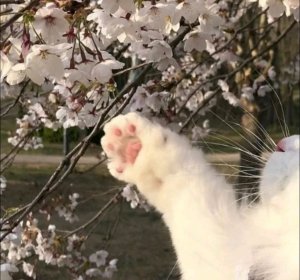 эх....прода ещё одна ^^