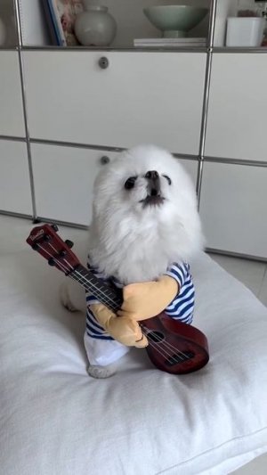 Завсегдатай застолья 🤗))