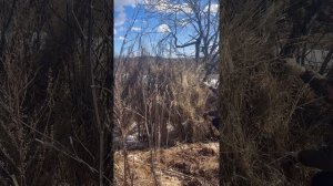 Охота на гуся 04.04.2026 ( подготовка)