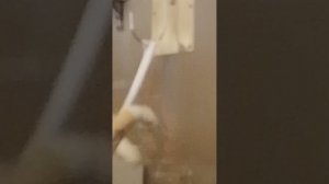 1815.mp4