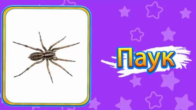 Природа Введение в Природу на Русском Nature Intro for Kids