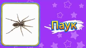 Природа Введение в Природу на Русском Nature Intro for Kids