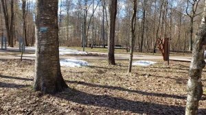 Творческая мастерская чтеца