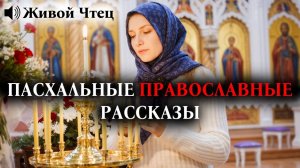 ТЫ МНЕ БОЛЬШЕ НЕ МАТЬ!» — КРИЧАЛ СЫН В ПАСХАЛЬНУЮ НОЧЬ... ПАСХАЛЬНЫЕ ПРАВОСЛАВНЫЕ РАССКАЗЫ
