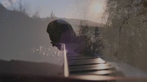 THOUGHTS.FORMS X RADI MIRA I LUBVI - Nikola Melnikov acoustic concert Altai  festival МЫСЛИФОРМЫ