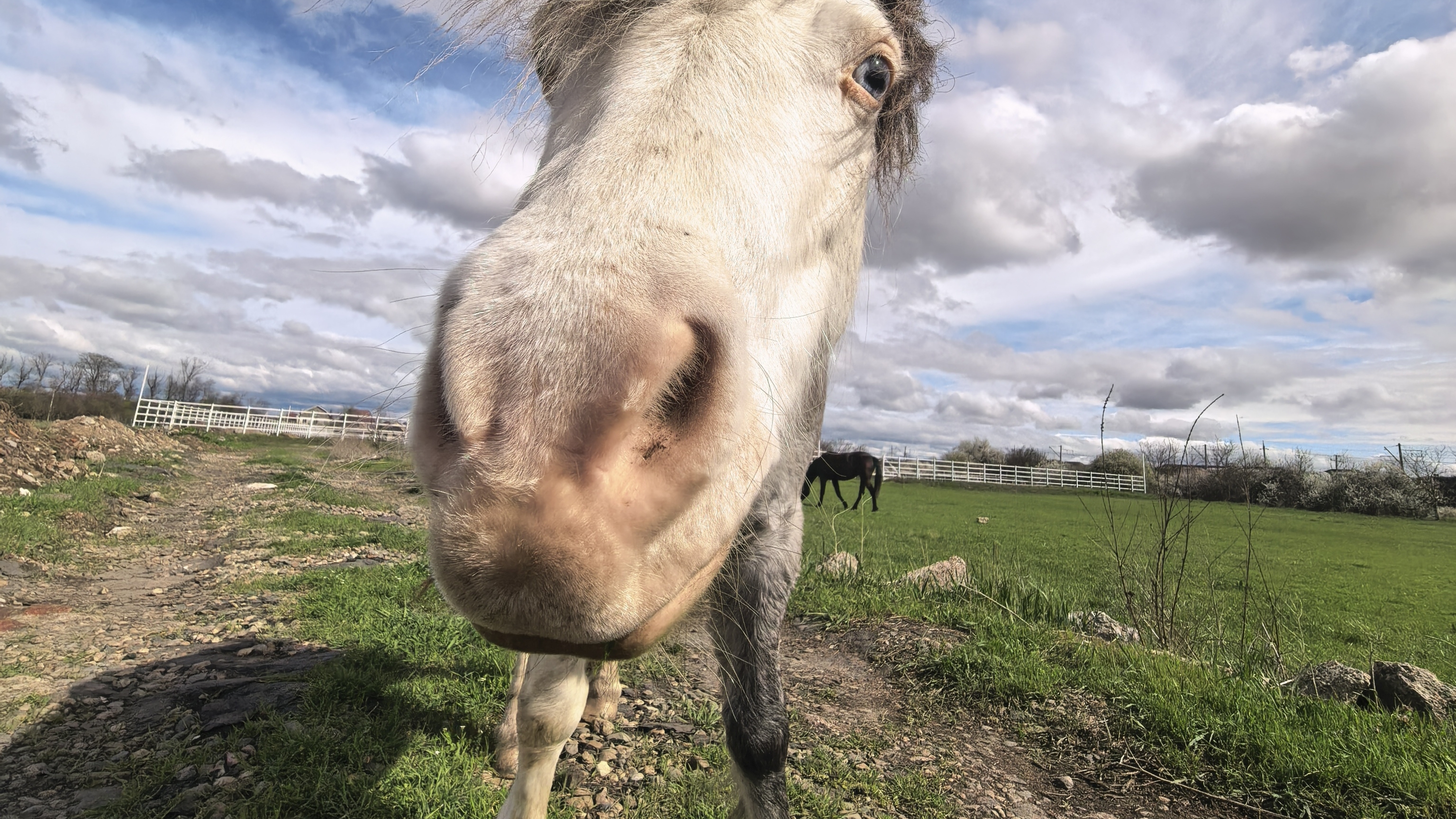 Моя любимая пони😍