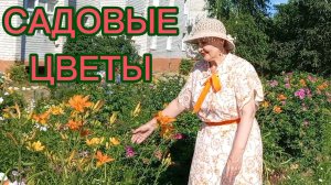 ЦВЕТЫ  Лилейник Рудбекия гортензия дельфиниум розы ромашки пионы