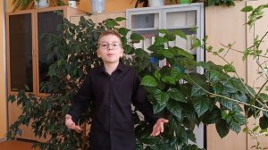 Вароди Константин 12 лет г.Губкинский