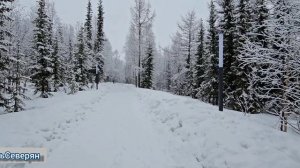 Прекрасное весеннее утро. Реальная жизнь северян. Парк "Территория здоровья". 2026. Ямал, Лабытнанги
