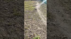 Покатушки на багги | 4-апр-2026