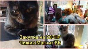Закупка на 2831₽ Чижик Магнит ВБ 👍