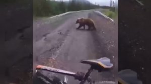 Видео от МЭН - Мне Это Нравится