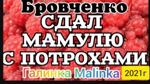 Семья Бровченко _Сдал мамулю с потрохами_Считают кто и сколько съел _Обзор Влогов _