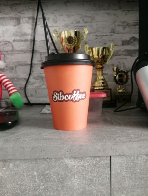 Рассказываю как я захотел зделать стрим + скибиди туалет