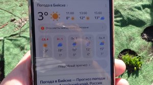 Наконец - то тепло! Обзор погоды, огорода и теплицы с рассадой 4 апреля 2026 года.