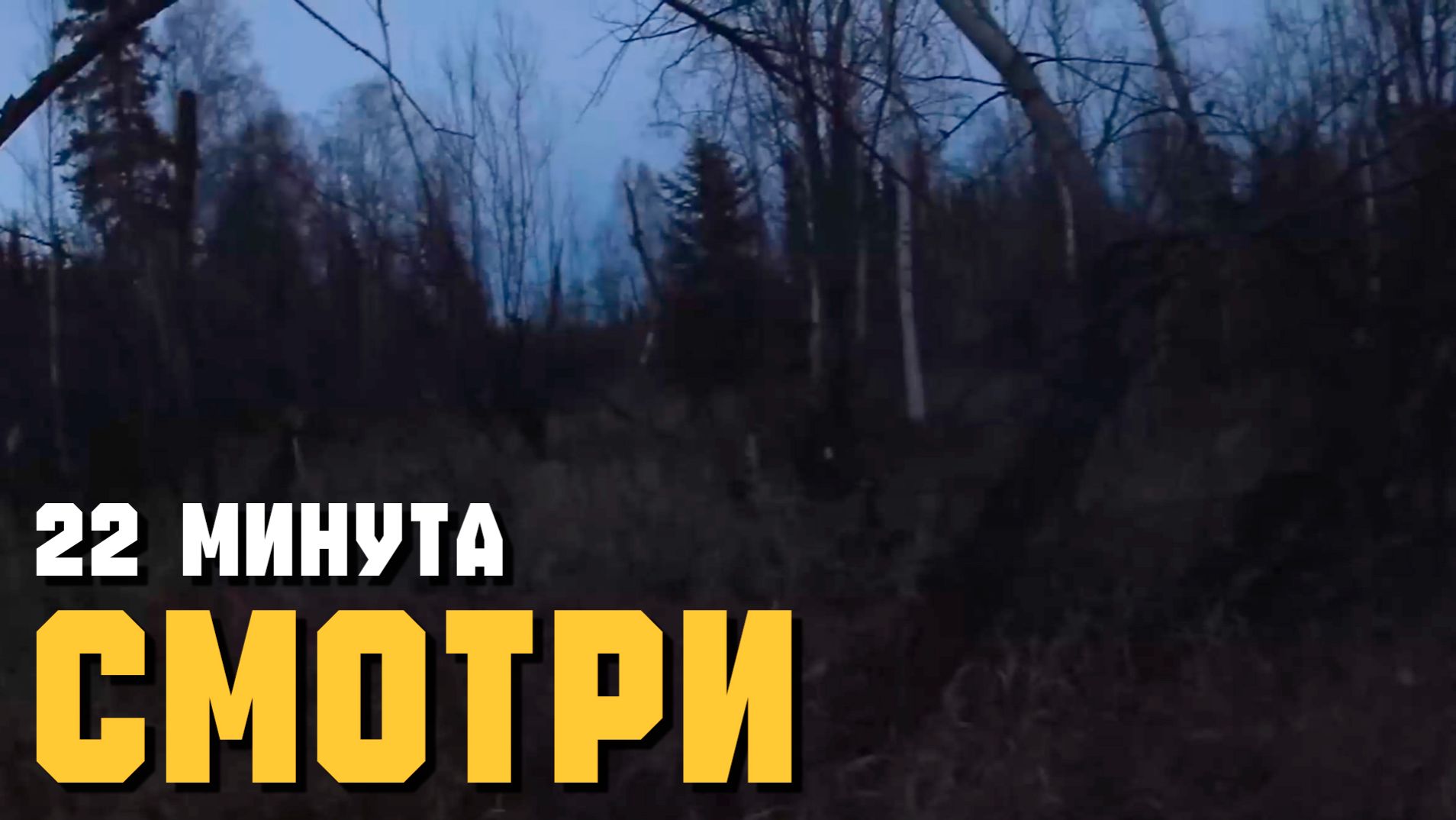 СНЕЖНЫЙ ЧЕЛОВЕК ► НАСТОЯЩИЙ КРИК САСКВОТЧА