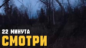 СНЕЖНЫЙ ЧЕЛОВЕК ► НАСТОЯЩИЙ КРИК САСКВОТЧА