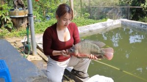 Деревенская девушка ловит много крупной рыбы. Жизнь во Вьетнаме