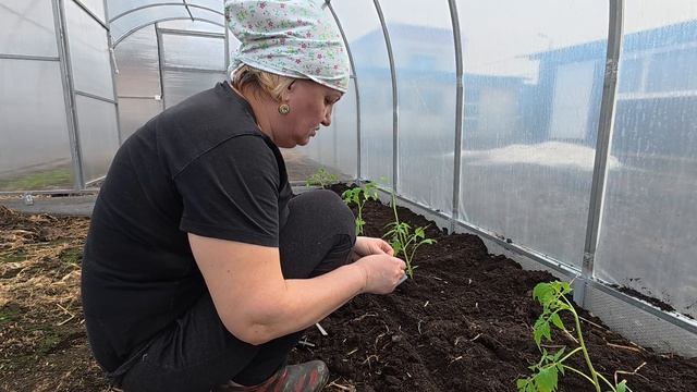 Риск дело благородных!