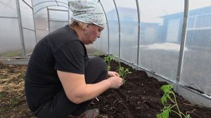 Риск дело благородных!