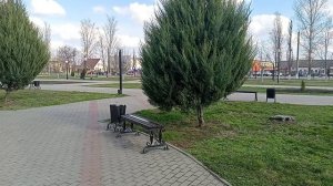 Таловая, прогулка по парку 04-04-2026