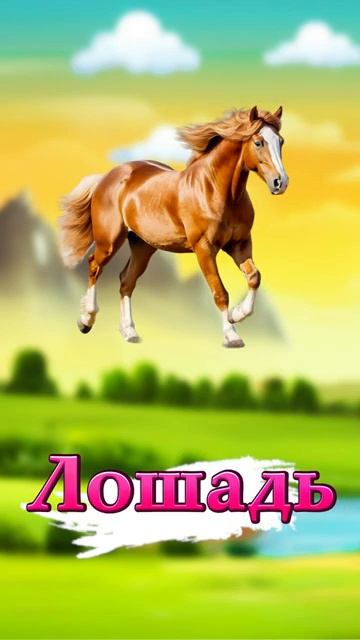 Познакомьтесь с 10 лучшими домашними животными