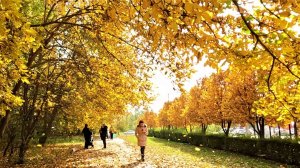 РЕЛАКС. Золотая ОСЕНЬ. Ставрополь. Замедленное движение.