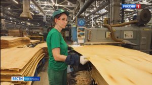 В Костромской области решено создать ассоциацию лесозаготовителей и лесопереработчиков