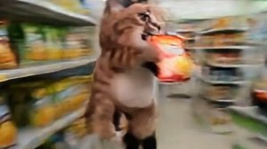 Я скинул деньги шлёпе) и вы тоже так можете