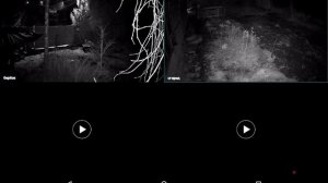 XRecorder_20260403_02(2).mp4