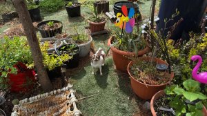 Сегодня с утра погода нас очень радует.