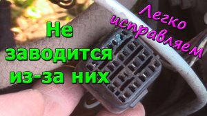 Как и чем очистить контакты в разъёмах электропроводки автомобиля от окисления Быстро легко и просто