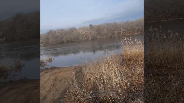 РЕЧКА БЕЗУМНО ХОРОША🗨🗨🗨