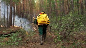 Группу парашютистов Авиалесоохраны направили в ЕАО для тушения масштабного лесного пожара.