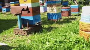 Подсиленные семьи месяц спустя