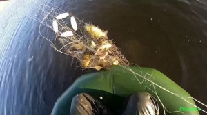 Ловля рыбы хапугами и кубарями в диких озёрах. Эти снасти меня радуют