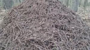 Экстрим на дорогах и тихая жизнь на хуторе Мой честный обзор