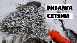Нереально Крутая Зимняя Рыбалка Сетями. Река Амур. Рыбий Жор. Ловлю Тонну Рыбы. Русская Рыбалка 2026