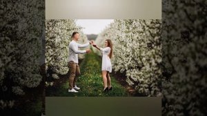 Вишнёвая метель