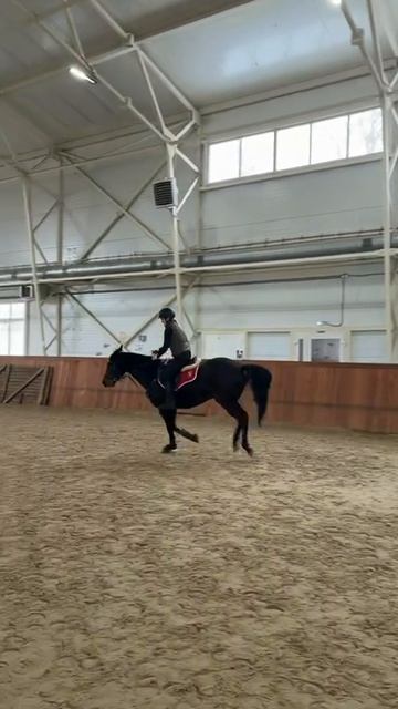 я люблю свою лошадку, мне скакать с ней очень сладко!