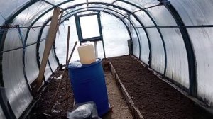 Теплица,25 марта посадка сидератов.