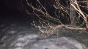 В лесу: самосбывающиеся прогнозы или будет ли война с Европой - вспоминаем, обобщаем, размышляем 🤔