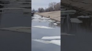 1000013879.mp404.04.2026г.