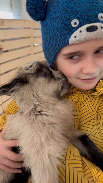 01.04-2026 Козленку 1 день