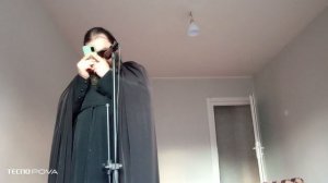 Монах Агафадор Акафист в неделю Ваий (Вход Господень в Иерусалим. Вербное Воскресенье)