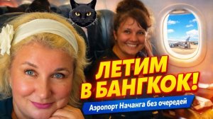 Камрань, аэропорт. Вылет из Вьетнама и заселение в Hilton. ТЦ в отеле, цены