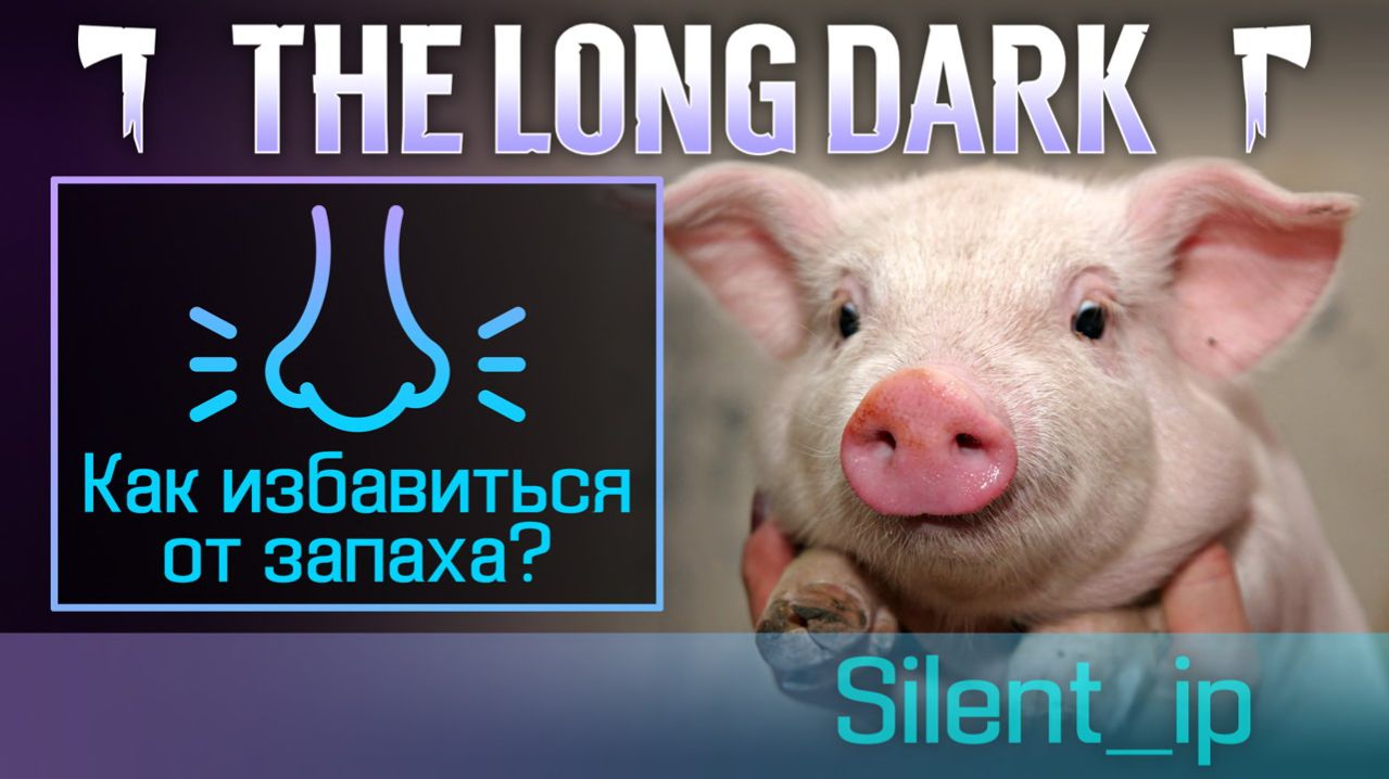 The Long Dark: Как избавиться от запаха?